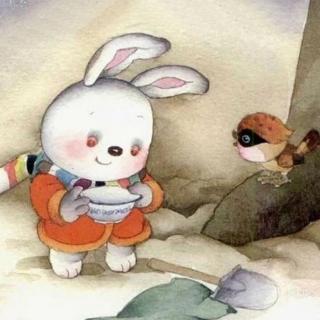 小兔寻宝