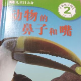 动物的鼻子和嘴 DK目击者2