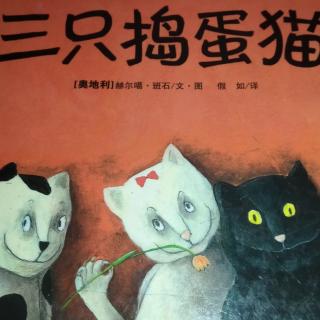 三只捣蛋猫