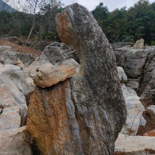 地球上的生物——地球表面的形态