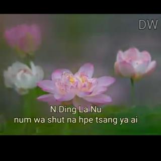 Num Wa Shut Na Hpe Tsang Ya Ai🎵Vol.N .ding la nu