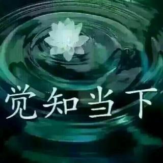 《道德经》1~40章