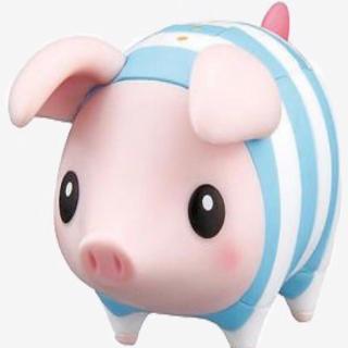 A Piggy Bank 小猪🐷存钱罐