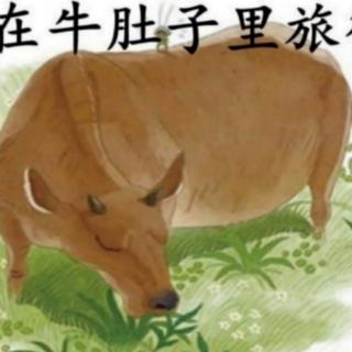 龚陈茁——《野猫的首领一》（来自FM185956281）