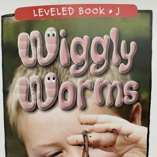 RAZ LevelJ 904 - Wiggly Worms