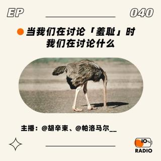 EP040-当我们在讨论「羞耻」时，我们在讨论什么