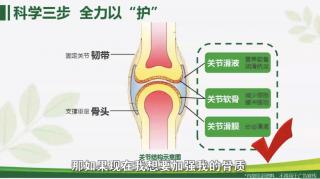 风湿性关节炎