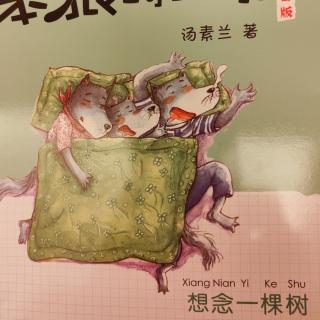 “小种子”031-《笨狼的故事》之《想念一棵树》第七、八章