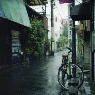 【失眠必听】温柔的雨水落在水坑上 白噪音催眠