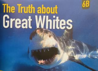 The Truth about Great Whites