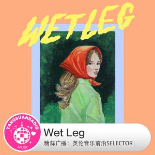 Wet Leg·糖蒜爱音乐之The Selector