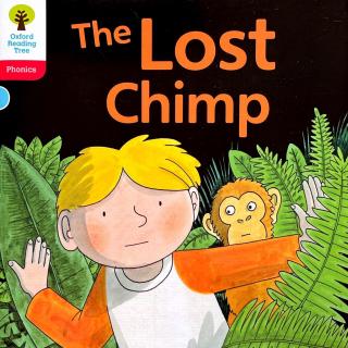 【凯西双语版】The Lost Chimp 丢失的小猩猩