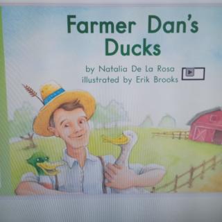 Farmer Dan's Ducks