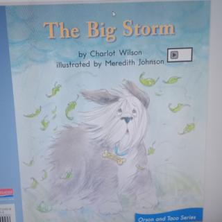 The Big Storm