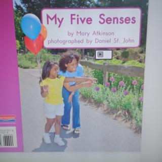 Five senses