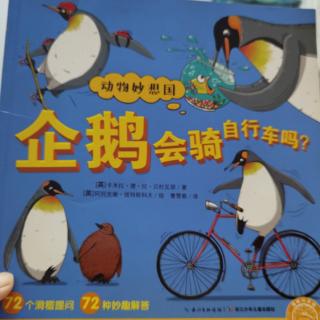 20211101企鹅会骑自行车吗