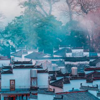 蝶恋花（伫倚危楼风细细）•柳永