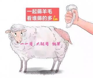 2021.11.2深圳分公司～一起薅羊毛