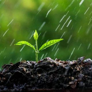 童话故事：一场温暖的雨