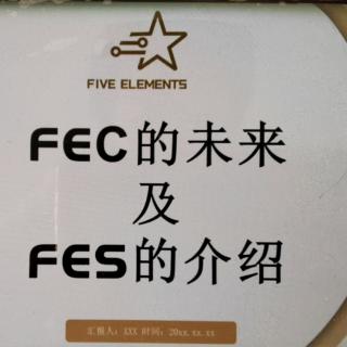 FEC的未来及FES的介绍