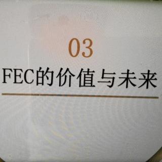 FEC的价值与未来