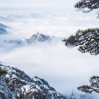 《等一场雪》作者：七先生  诵读：清泉