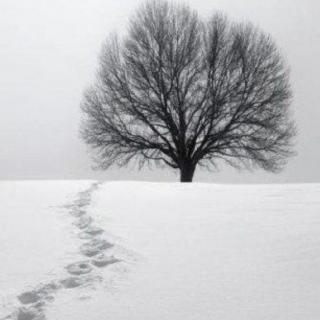 《大雪中的中国》朗诵：木子