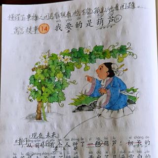 课文14   我要的是葫芦