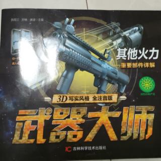 武器大师之其他火力