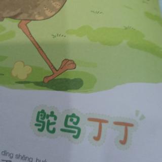 鸵鸟丁丁