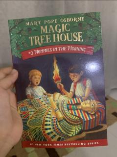 migic tree house book 3 mummies in the morning 第三本 神奇树屋 早上的木乃伊