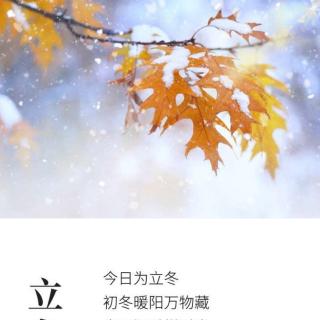 《雪是冬天的灵魂》作者陆宣霖诵读艺舟