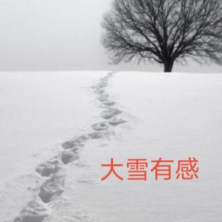 春姗如笑诵读《大雪有感》作者：任定安