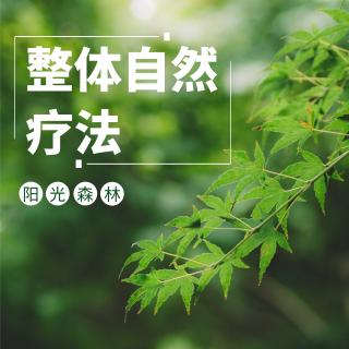 阳光森林ACI国际营养师爱的珍藏