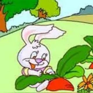 《小兔子拔萝卜》
