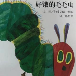 绘本故事《好饿的毛毛虫》