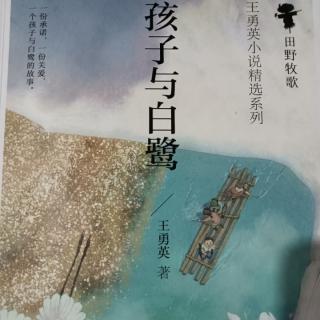 孩子与白鹭