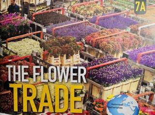 The Flower Trade