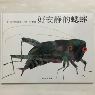 好安静的蟋蟀🦗