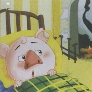 一只想冬眠的猪