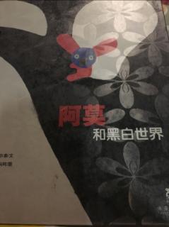 阿莫和黑白世界