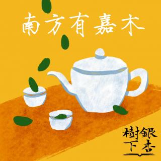 Vol.22 初雪，吃茶去：王旭烽《南方有嘉木》（读遍中国·浙江站）