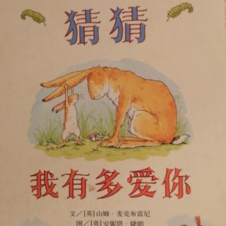 绘本故事《猜猜我有多爱你》