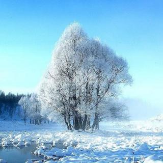 峻岭烟初静，花踪不复开—初雪