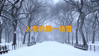 入冬的第一场雪