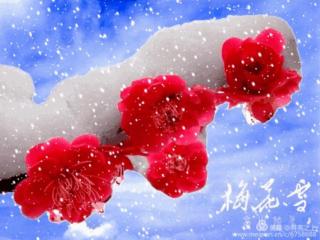 《雪花的快乐》作者：徐志摩