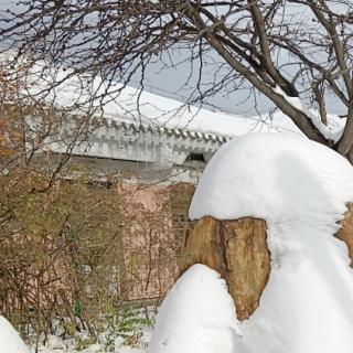 《雪花》