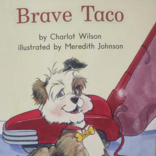 《Brave Taco》
