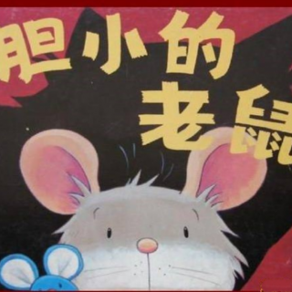 《胆小的老鼠》🐭