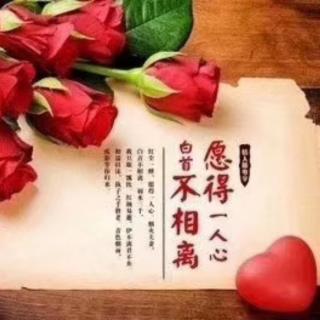 《红玫瑰与白玫瑰》，说尽了中国婚姻的3个真相